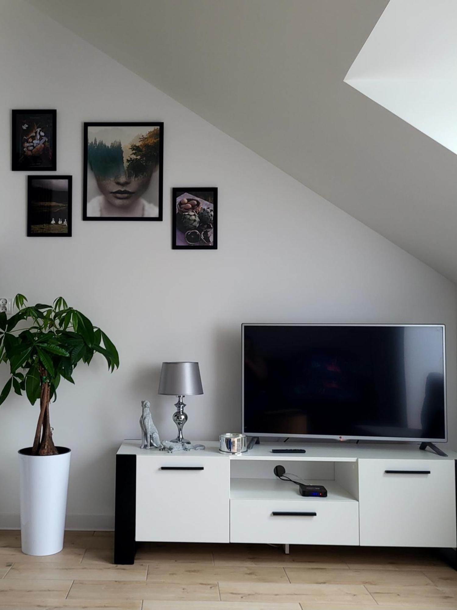 Apartament Dolina Baryczy Milicz Zewnętrze zdjęcie