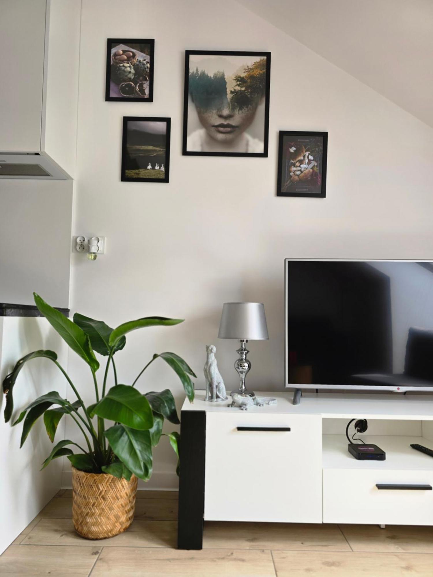Apartament Dolina Baryczy Milicz Zewnętrze zdjęcie